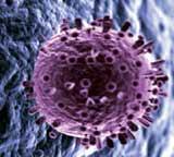 flu virus penetrating human cell wall
