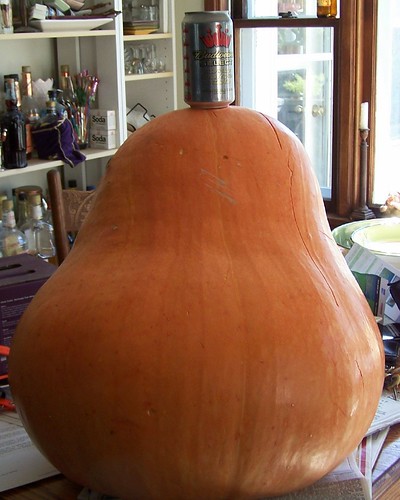 Giant Pumpkin