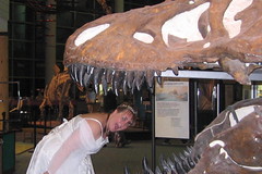 AAAiiiieeee!  Consumed by a T-rex!!