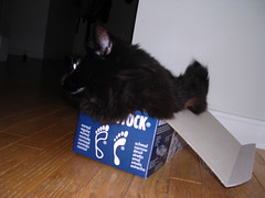 Ares in a box