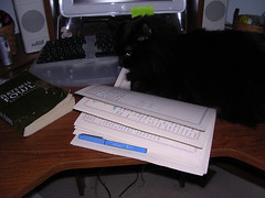 Ares helping with my book diary