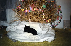 Our second Christmas tumbleweed