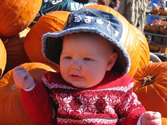 Leda in the pumpkin patch
