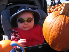 Chillin' in the pumpkin patch
