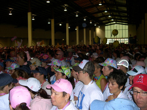 4,200 walkers at the Opening Ceremonies
