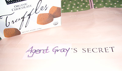 agent gray's secret