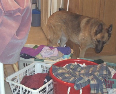 Sam and laundry