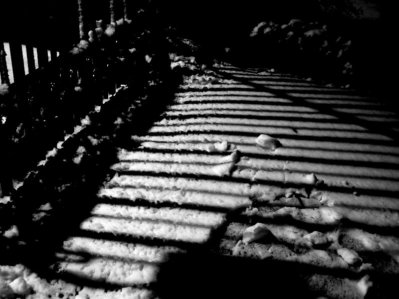 Fence at Night and the Snow