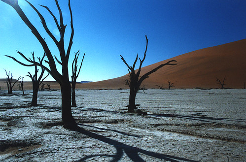  Sossus Vlei, Namibian<br />
desert