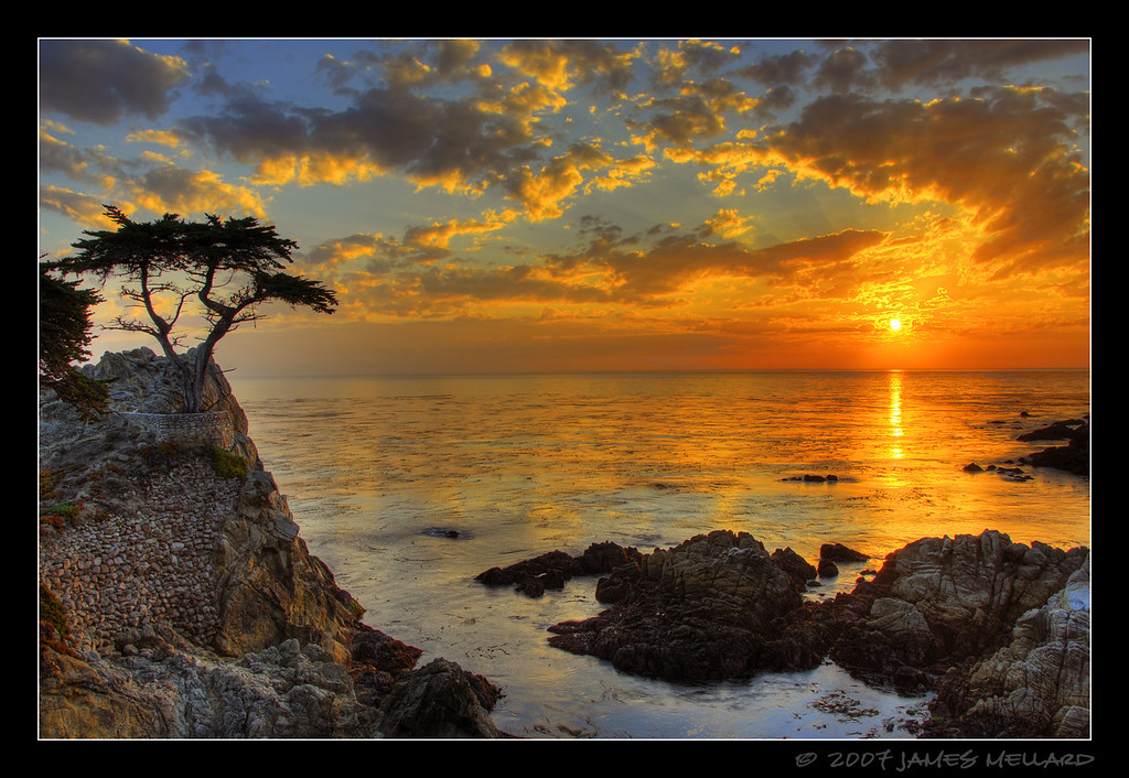 Sunset At The Lone Cypress At Pebble Beach