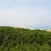 Formentera - 2006-Formentera-Playa de Illetes (35)