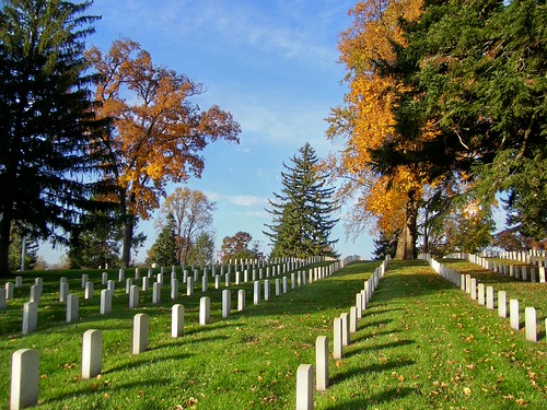 FALL FOR THE FALLEN