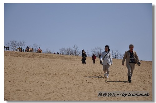 20090331 鳥取砂丘