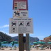 Ibiza - What you are not allowed to do on the beac