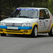 Ibiza - PEUGEOT 205 Rallye