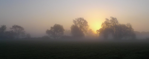 More Morning Mist