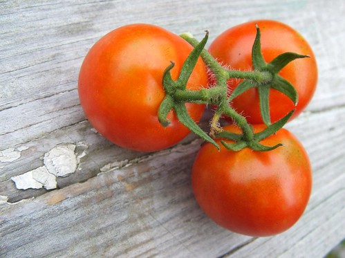 Cherry Tomato from our deck-garden