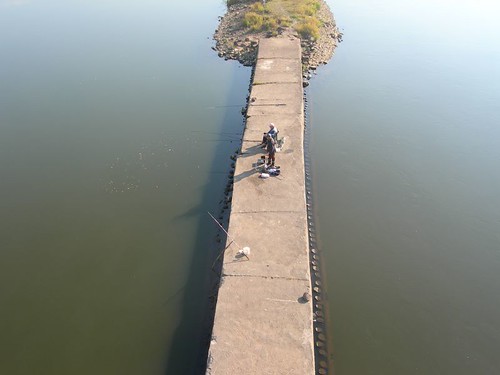 Angler an der Oder