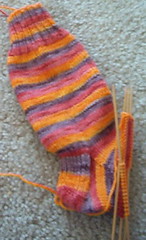 Kool-aid sock as of 10/22