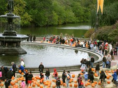 pumpkins around the fountain