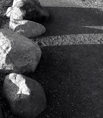 path and rocks