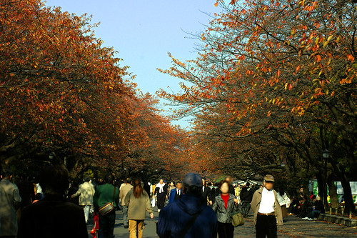 Ueno-park 02
