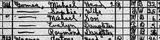 1920 census records