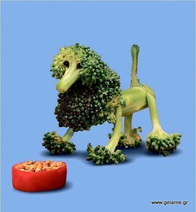 _Fun-With-Vegetables-And-Fruits-01