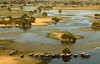 delta del okavango