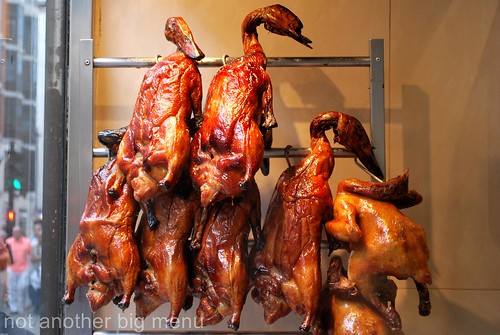 Young Cheng - Roast duck