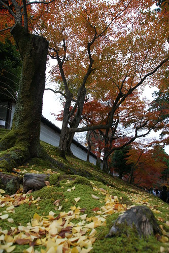 私の京都紅葉的走法1 赤山禪院 曼殊院 詩仙堂 Emma S華滋華斯庭園