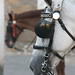 Ibiza - Blind Horses Sevilla