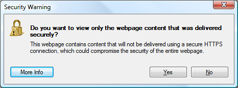 Do you want to view only the webpage content that was delivered securely?