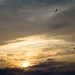 Ibiza - sunset sky sun sol clouds atardecer seagul