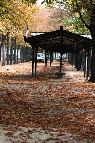 Fall in Paris