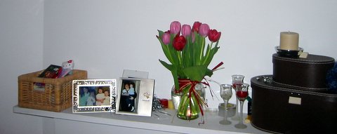 valentine's day tulips