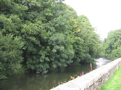 Afon Cleddau ger Llanhuadain