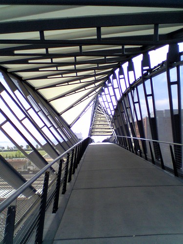 dna bridge
