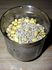 3 - Soybeans and barley in the filter basket