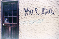 You R Alive.