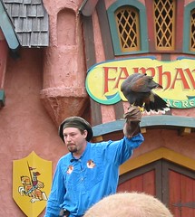 The Art of Falconry show