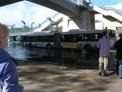 Buses running down the flooded road