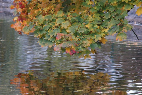 Autumn in Darmstadt