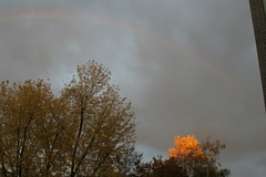 nuremberg rainbow keichwa