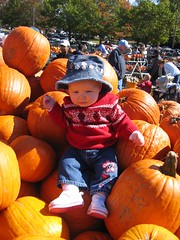 Leda in the pumpkin patch
