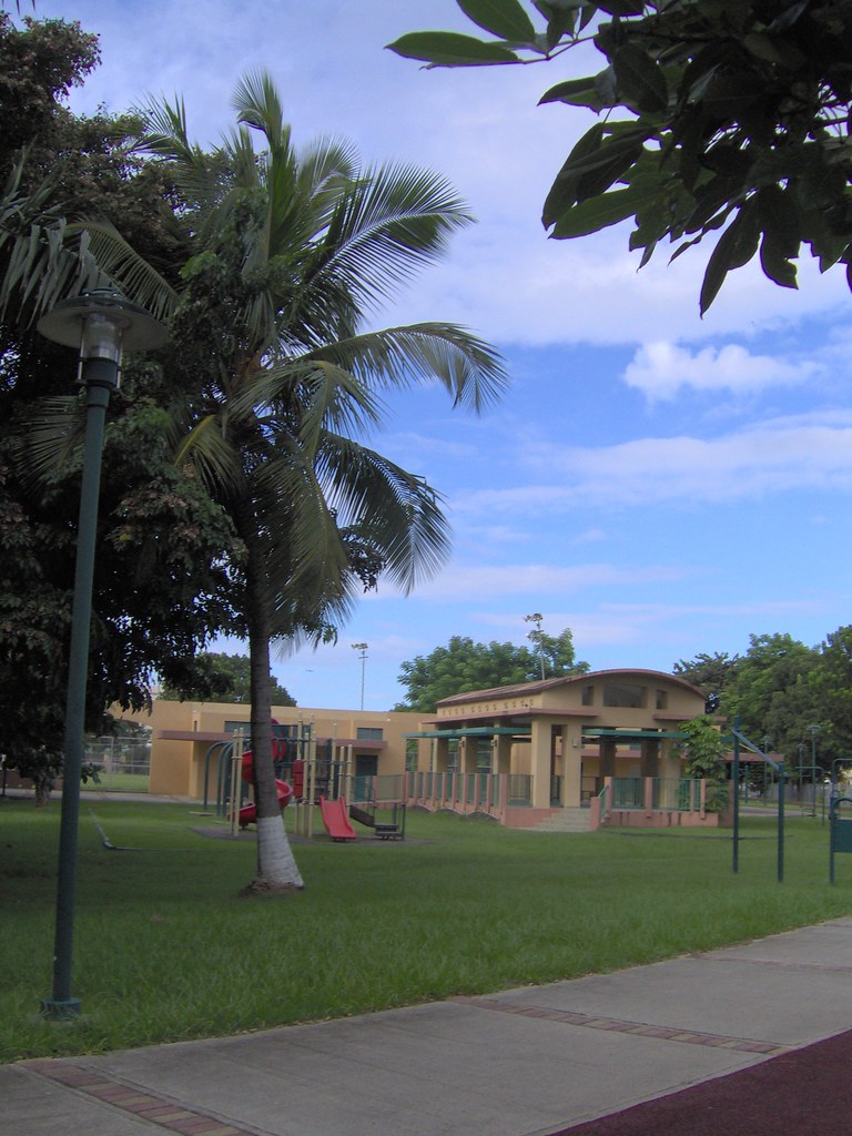 Palm Tree, Playground, Gazebo in Park