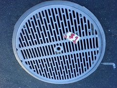 $1 manhole