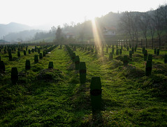 Srebrenica Memorial: graves
