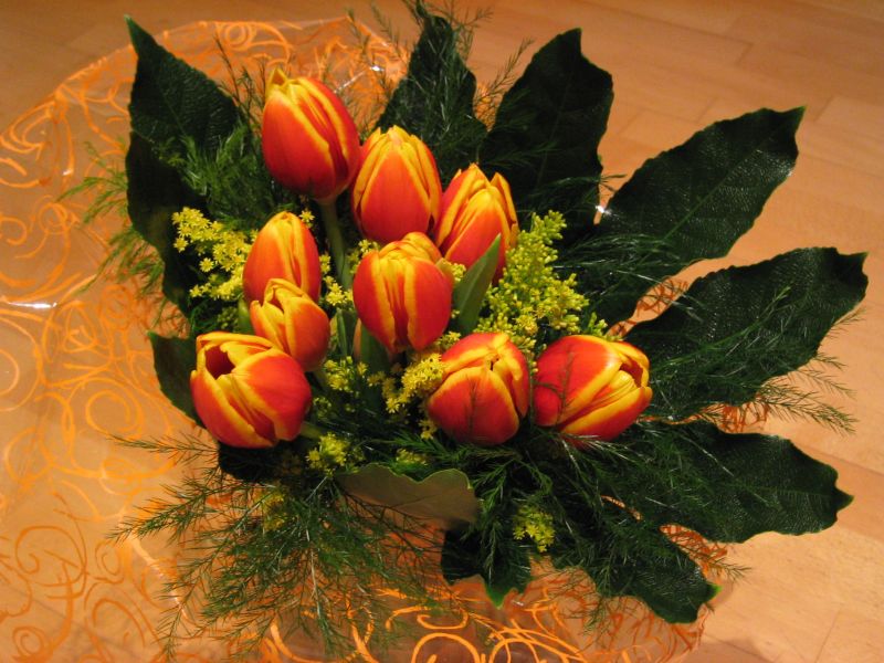 Tulipes pel meu sant (1)