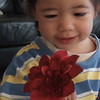 娘　二歳　赤い花